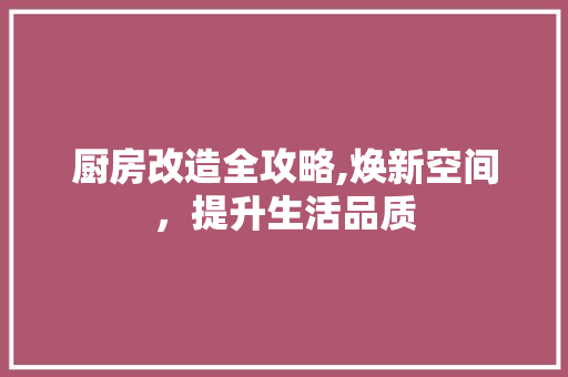 厨房改造全攻略,焕新空间，提升生活品质