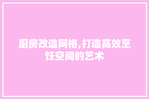 厨房改造网格,打造高效烹饪空间的艺术