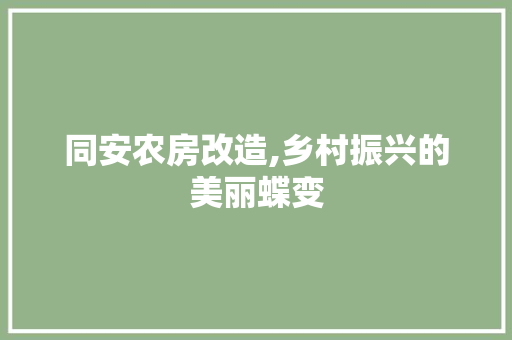 同安农房改造,乡村振兴的美丽蝶变