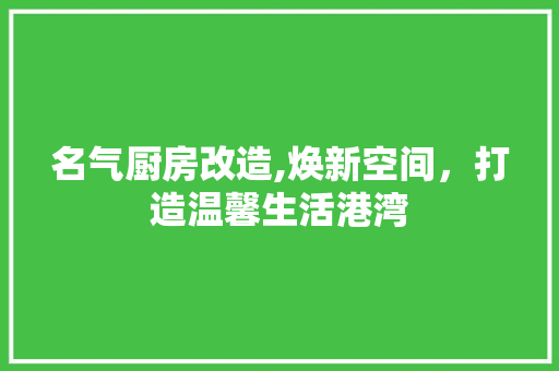 名气厨房改造,焕新空间，打造温馨生活港湾