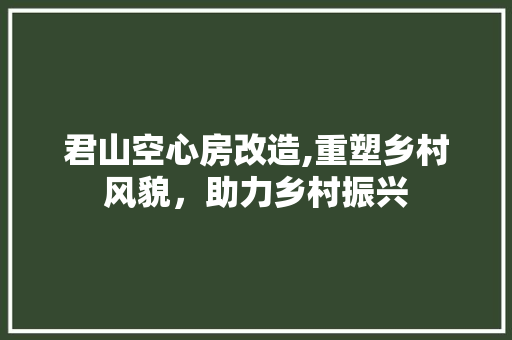 君山空心房改造,重塑乡村风貌，助力乡村振兴 装修攻略