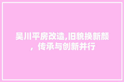 吴川平房改造,旧貌换新颜，传承与创新并行