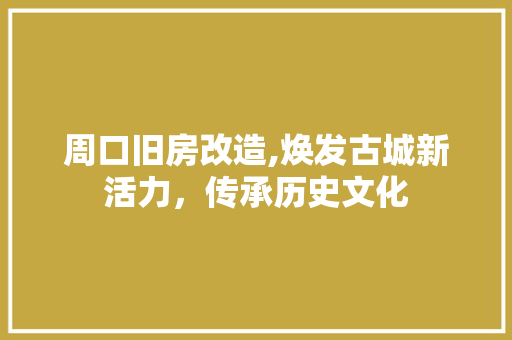 周口旧房改造,焕发古城新活力，传承历史文化