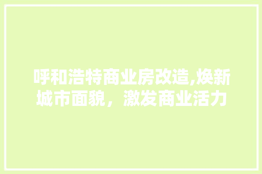 呼和浩特商业房改造,焕新城市面貌，激发商业活力