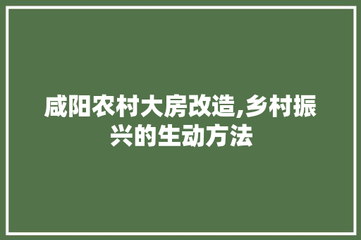 咸阳农村大房改造,乡村振兴的生动方法