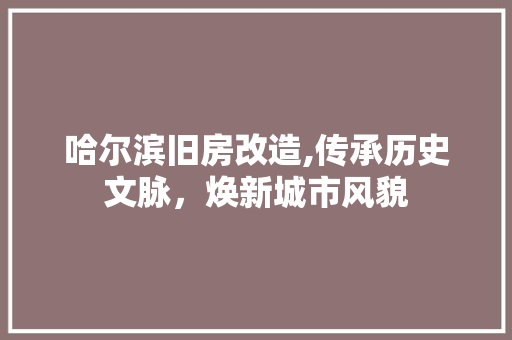 哈尔滨旧房改造,传承历史文脉，焕新城市风貌