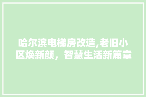 哈尔滨电梯房改造,老旧小区焕新颜，智慧生活新篇章
