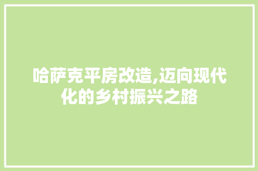 哈萨克平房改造,迈向现代化的乡村振兴之路