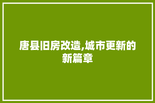 唐县旧房改造,城市更新的新篇章