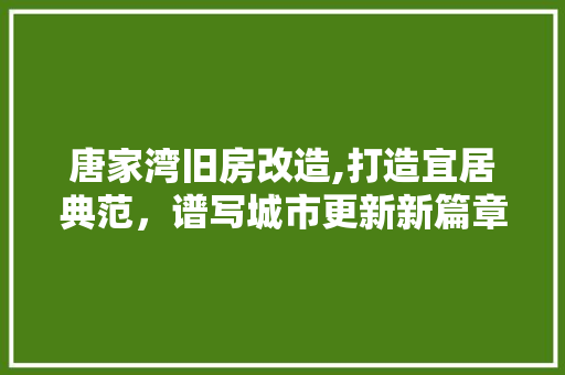 唐家湾旧房改造,打造宜居典范，谱写城市更新新篇章