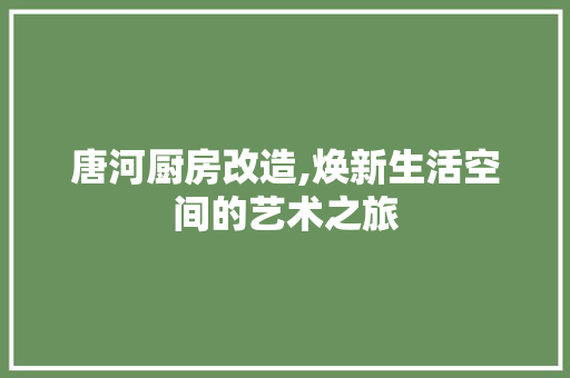 唐河厨房改造,焕新生活空间的艺术之旅