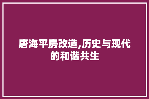 唐海平房改造,历史与现代的和谐共生