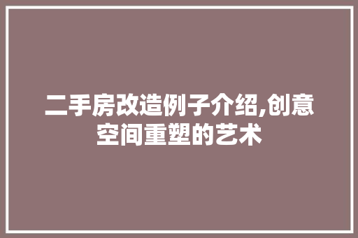二手房改造例子介绍,创意空间重塑的艺术