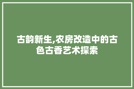 古韵新生,农房改造中的古色古香艺术探索