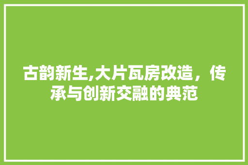 古韵新生,大片瓦房改造，传承与创新交融的典范