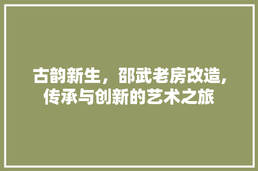 古韵新生，邵武老房改造,传承与创新的艺术之旅