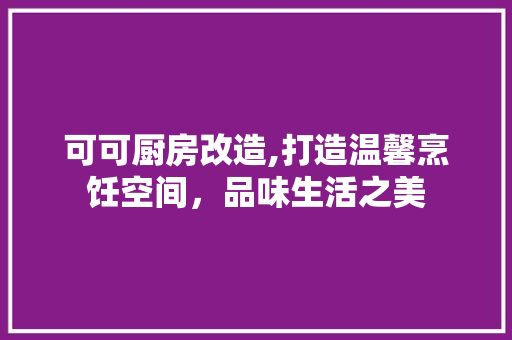 可可厨房改造,打造温馨烹饪空间，品味生活之美
