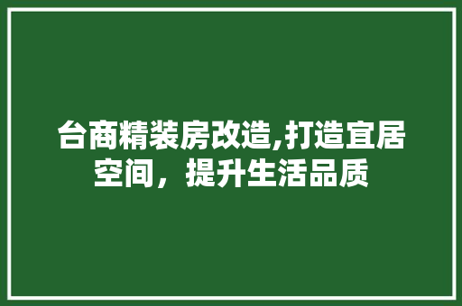 台商精装房改造,打造宜居空间，提升生活品质