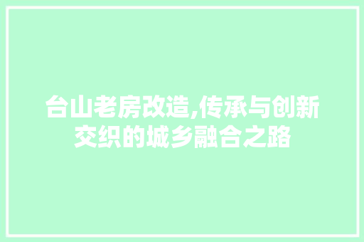 台山老房改造,传承与创新交织的城乡融合之路