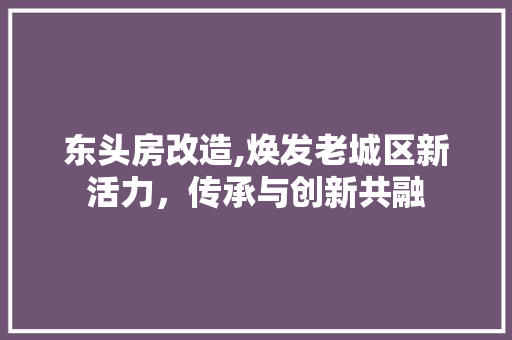 东头房改造,焕发老城区新活力，传承与创新共融