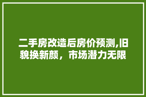 二手房改造后房价预测,旧貌换新颜，市场潜力无限