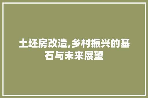 土坯房改造,乡村振兴的基石与未来展望