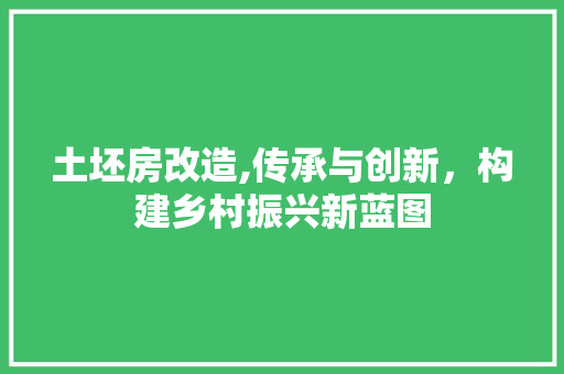 土坯房改造,传承与创新，构建乡村振兴新蓝图