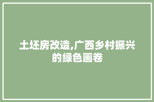 土坯房改造,广西乡村振兴的绿色画卷