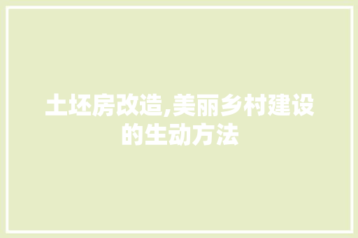 土坯房改造,美丽乡村建设的生动方法
