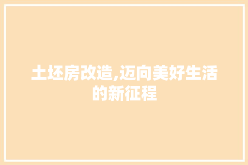 土坯房改造,迈向美好生活的新征程