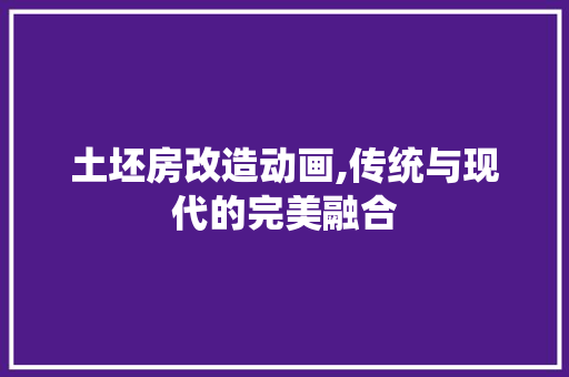 土坯房改造动画,传统与现代的完美融合