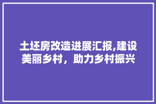 土坯房改造进展汇报,建设美丽乡村，助力乡村振兴