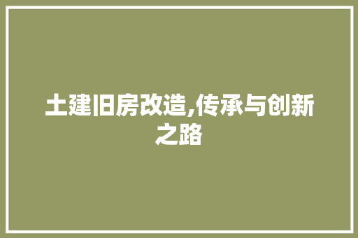 土建旧房改造,传承与创新之路