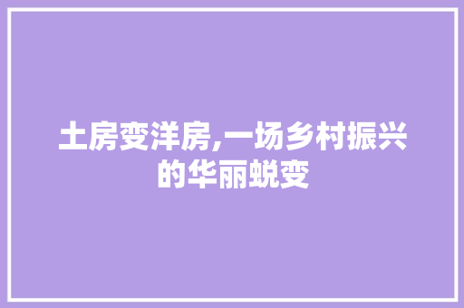 土房变洋房,一场乡村振兴的华丽蜕变