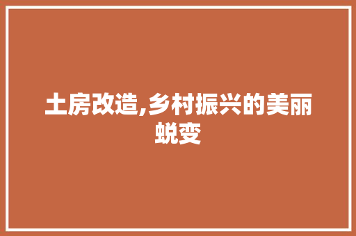土房改造,乡村振兴的美丽蜕变