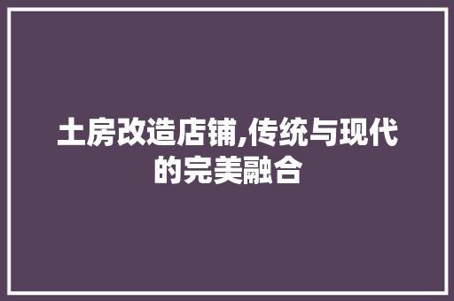 土房改造店铺,传统与现代的完美融合