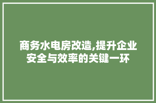 商务水电房改造,提升企业安全与效率的关键一环