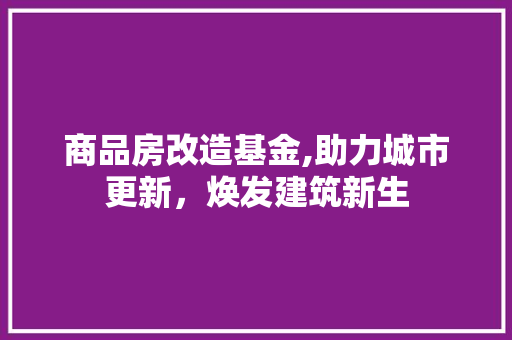 商品房改造基金,助力城市更新，焕发建筑新生