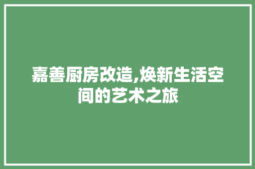 嘉善厨房改造,焕新生活空间的艺术之旅