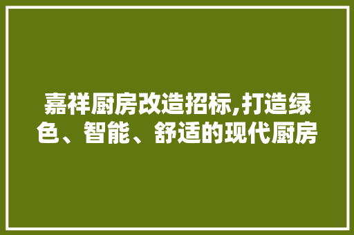 嘉祥厨房改造招标,打造绿色、智能、舒适的现代厨房新标杆