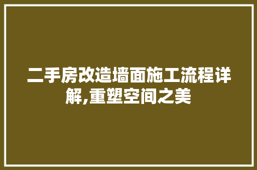 二手房改造墙面施工流程详解,重塑空间之美
