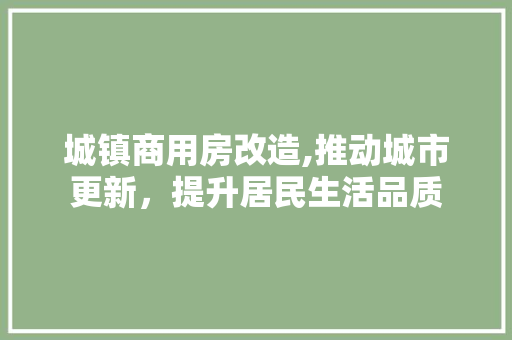 城镇商用房改造,推动城市更新，提升居民生活品质