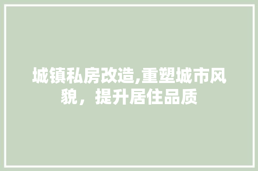 城镇私房改造,重塑城市风貌，提升居住品质