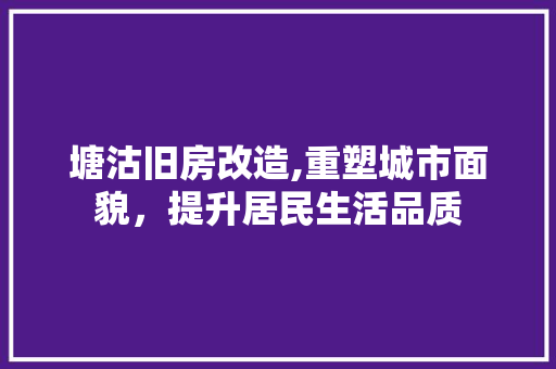 塘沽旧房改造,重塑城市面貌，提升居民生活品质