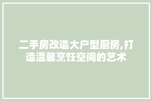 二手房改造大户型厨房,打造温馨烹饪空间的艺术