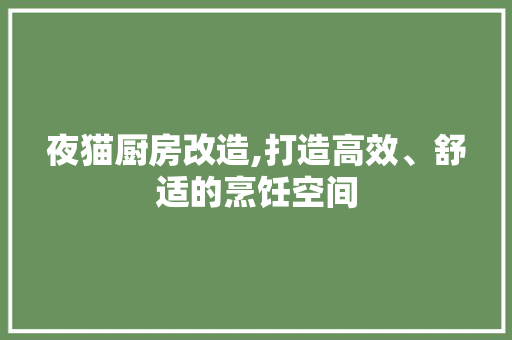 夜猫厨房改造,打造高效、舒适的烹饪空间