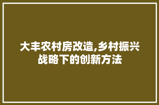 大丰农村房改造,乡村振兴战略下的创新方法