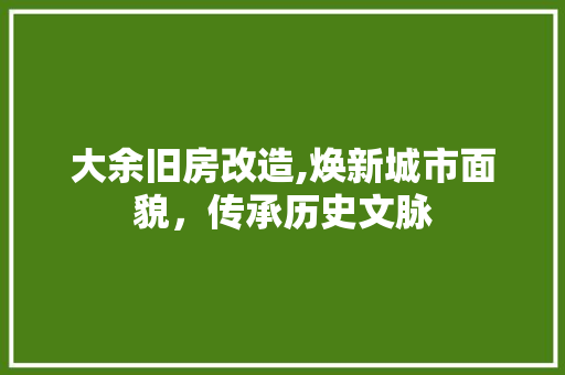大余旧房改造,焕新城市面貌，传承历史文脉