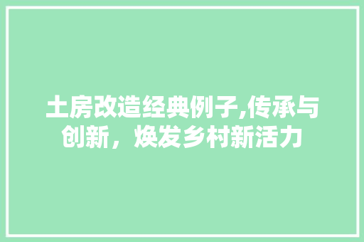 土房改造经典例子,传承与创新，焕发乡村新活力