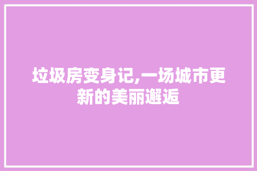 垃圾房变身记,一场城市更新的美丽邂逅